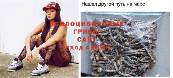 крисы Медногорск