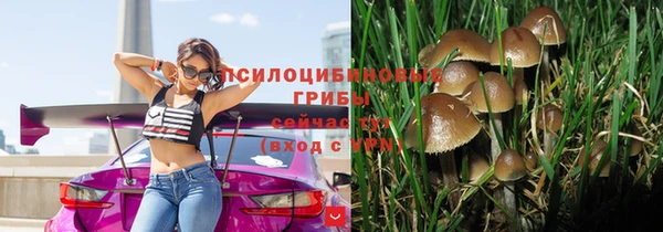 крисы Медногорск