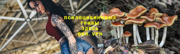 крисы Медногорск
